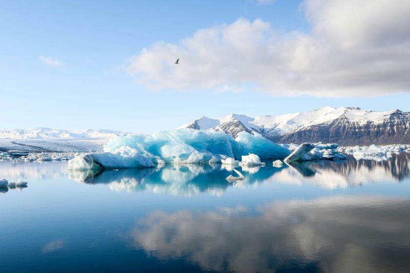 File:Arctic.jpg
